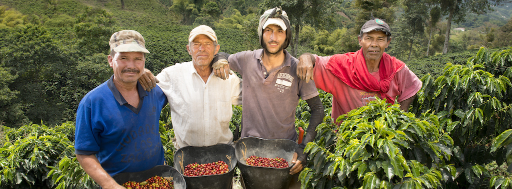 Empowering agriculture